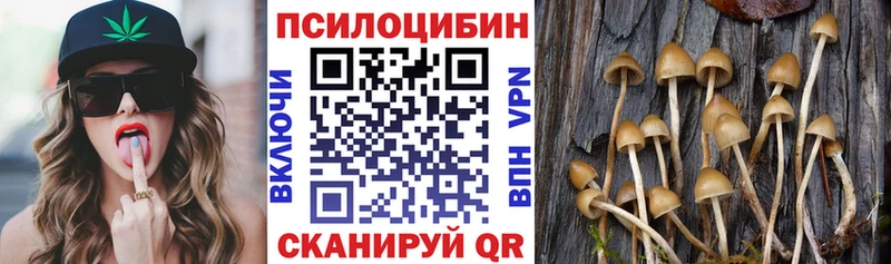 Галлюциногенные грибы Psilocybe Сердобск